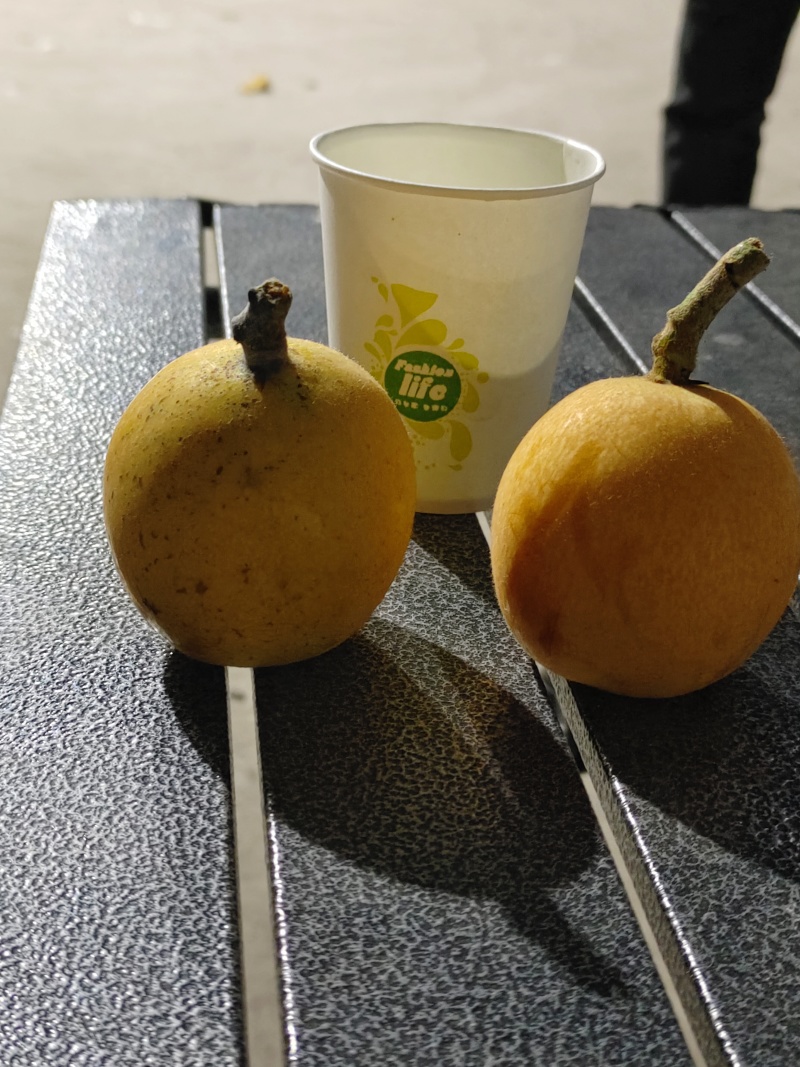 枇杷