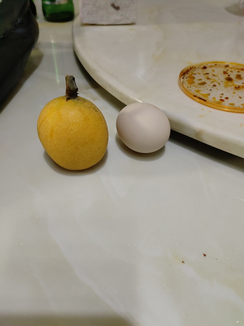 枇杷