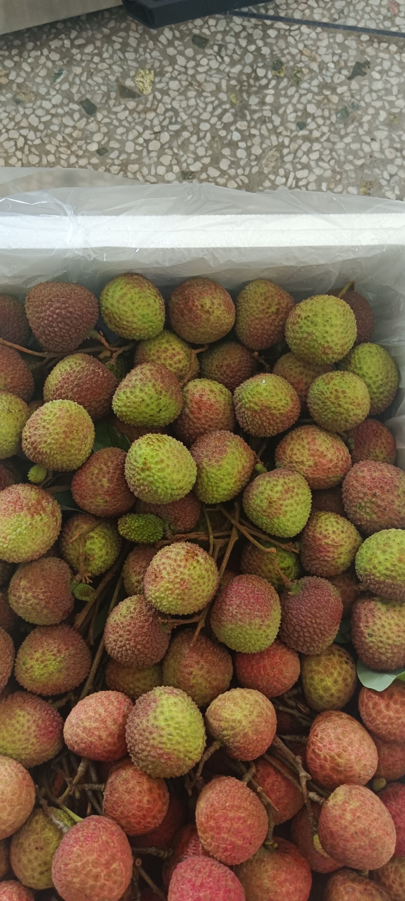 高州妃子笑白糖婴白蜡黑叶荔枝大量上市，欢迎各位老板来洽谈