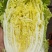 柏乡硕鑫大白菜