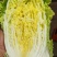 柏乡硕鑫大白菜
