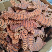 厚片鸡血藤