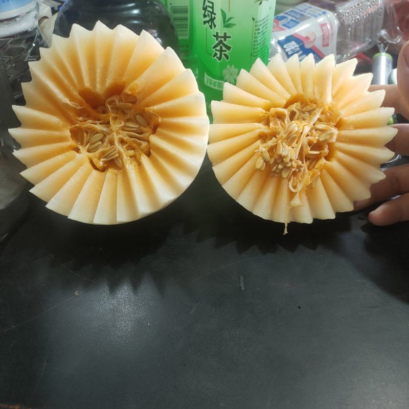 小白瓜白皮红肉，天鹅蛋甜瓜软糯香甜，龚垒代发货，电商货