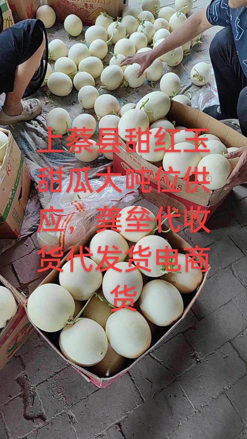 小白瓜白皮红肉，天鹅蛋甜瓜软糯香甜，龚垒代发货，电商货