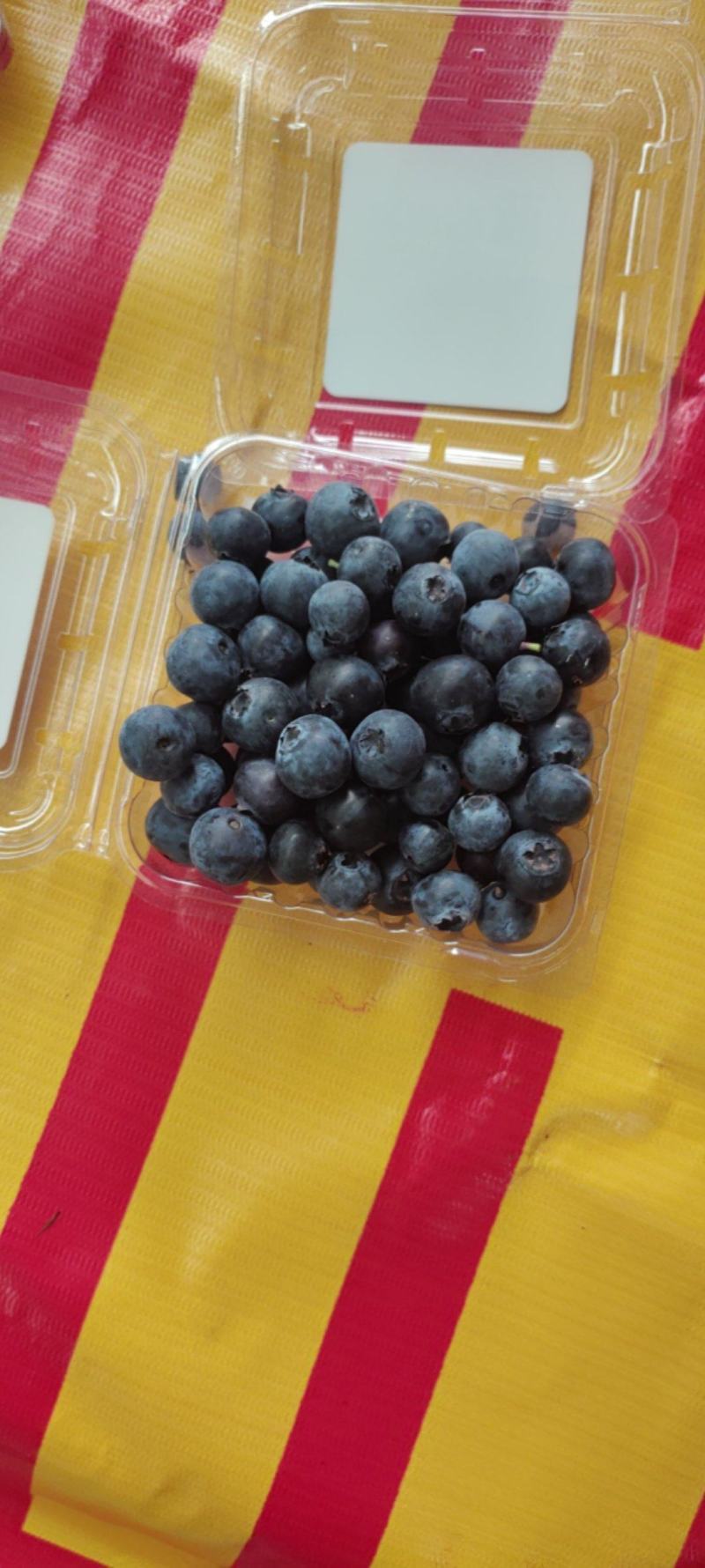 云南优质蓝莓