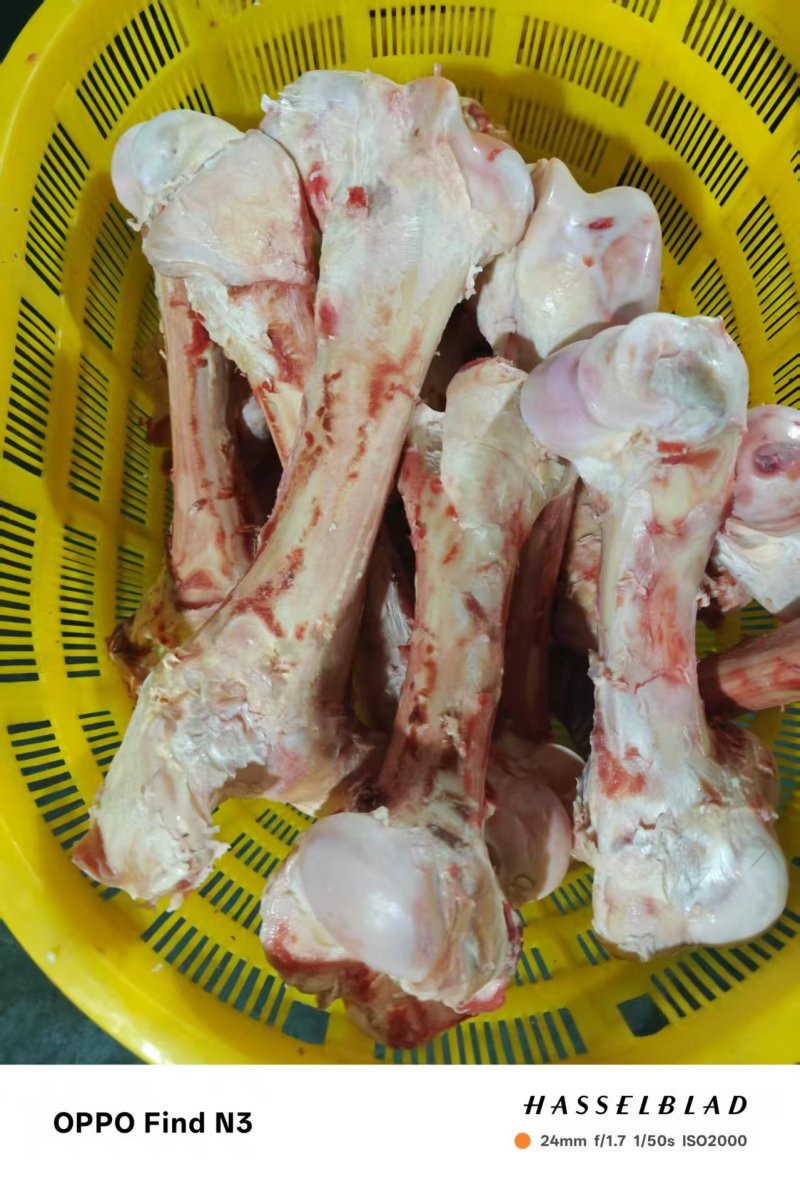 【牛棒骨】黄牛的干棒骨！八棒速冻！袋装不是标件！全国发货
