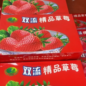 云南品种蒙特瑞草莓基地直发产量大品质好价格稳定