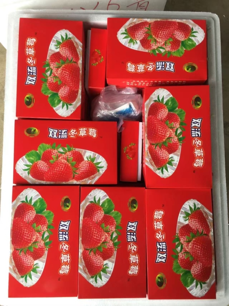 云南蒙特瑞草莓基地精品全国直发产量价格稳定