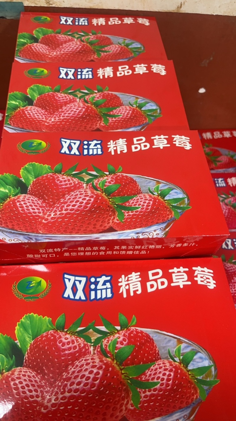 云南蒙特瑞草莓基地精品全国直发产量价格稳定