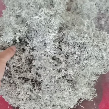 张家界莓茶/藤茶产地直发货品精良欢迎进店咨询