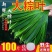 【新鲜大粽叶】特大新鲜粽叶100片天然野生箬叶包粽子叶子
