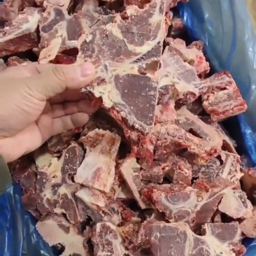 牛脊骨