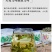 包邮）新疆原产地野生罗布麻嫩芽叶正品500g特级罗布麻