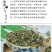 包邮）新疆原产地野生罗布麻嫩芽叶正品500g特级罗布麻