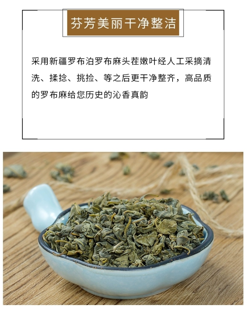 包邮）新疆原产地野生罗布麻嫩芽叶正品500g特级罗布麻