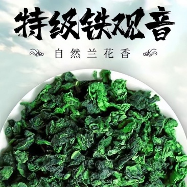 特级铁观音招牌茶，2026新茶，茶农直邮，亏本打市场
