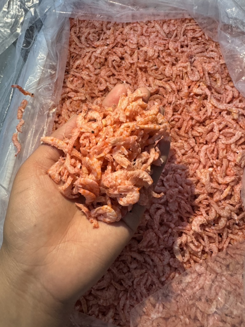 鳞虾仁深海南极鳞虾干，补钙佳品