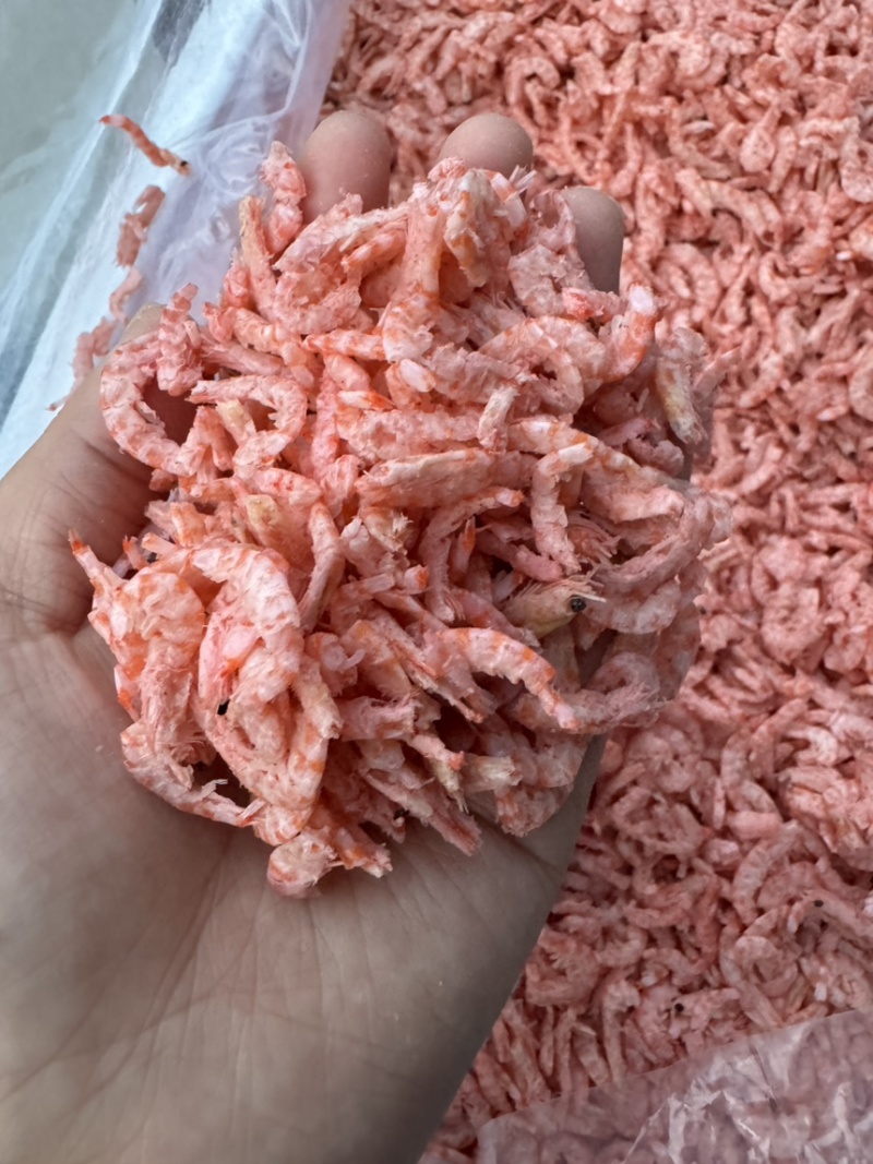鳞虾仁深海南极鳞虾干，补钙佳品