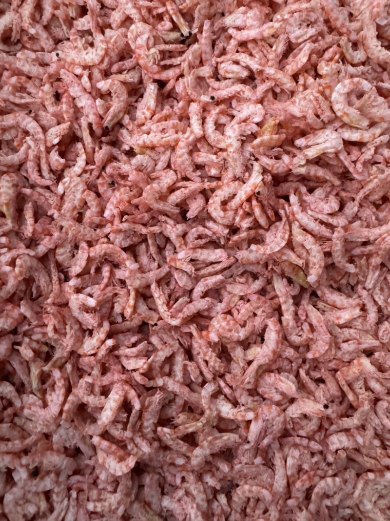 鳞虾仁深海南极鳞虾干，补钙佳品