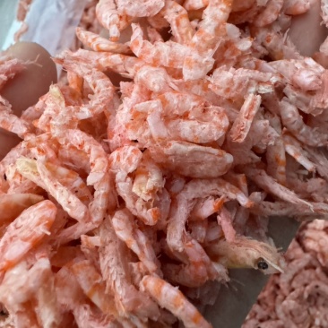 鳞虾仁深海南极鳞虾干，补钙佳品