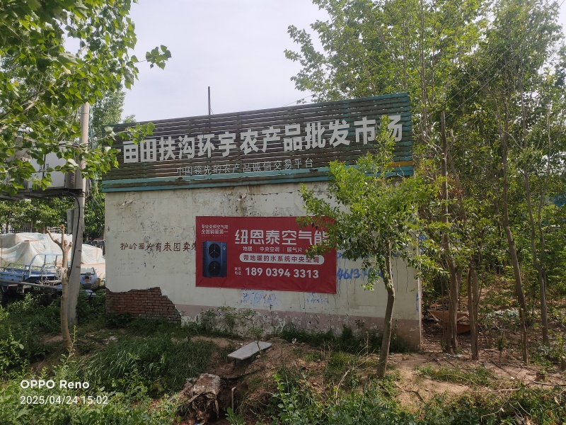 河南暖棚密刺黄瓜