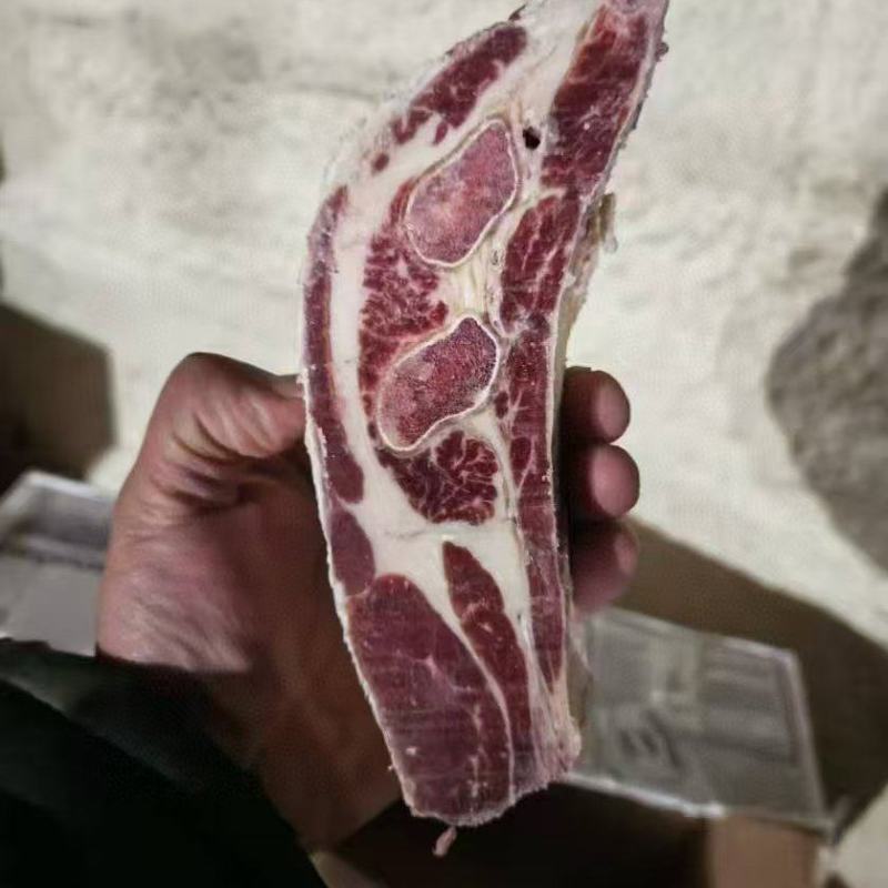 满肉牛脐橙板