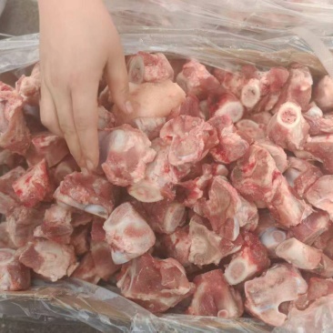 多肉猪棒骨节