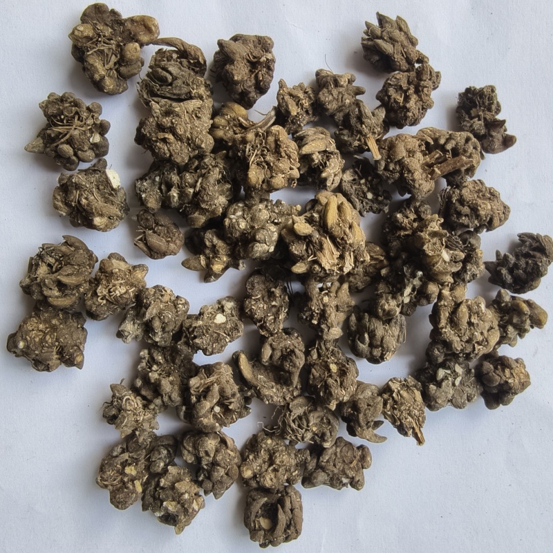 猫爪草猫爪草新货，水洗三遍，无杂质
