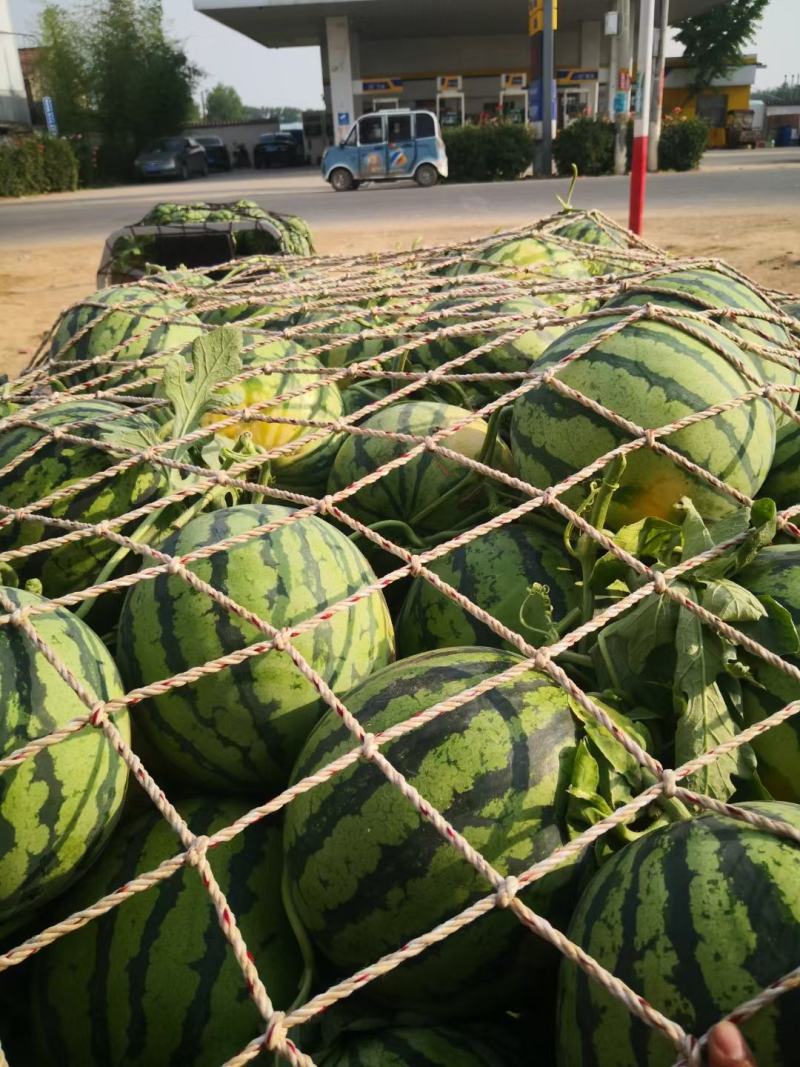 精品美都大量上市需要的联系，支持发货全国各地市场，，，，