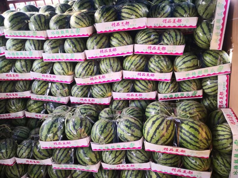 精品美都大量上市需要的联系，支持发货全国各地市场，，，，