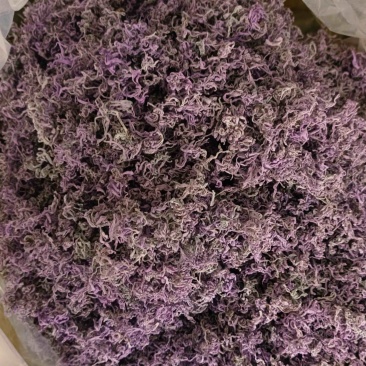 张家界莓茶/䕨茶口感醇厚清香扑鼻一手货源欢迎进店咨询下单