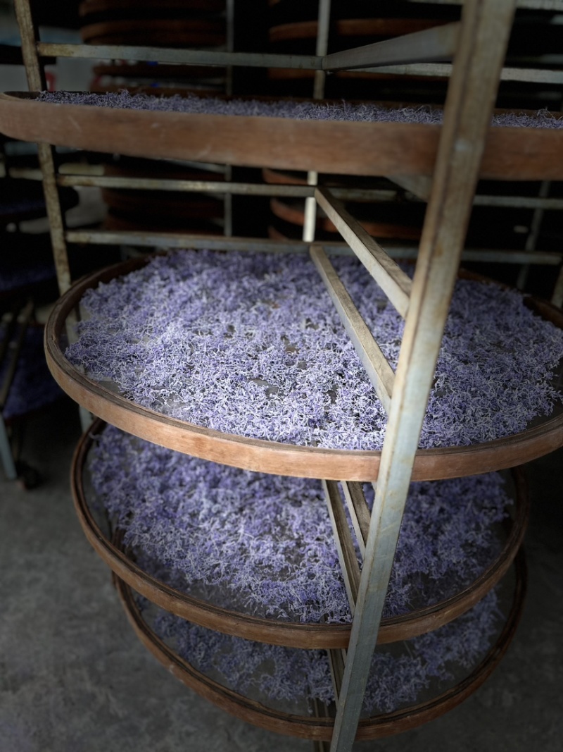 张家界莓茶/䕨茶口感醇厚清香扑鼻一手货源欢迎进店咨询下单