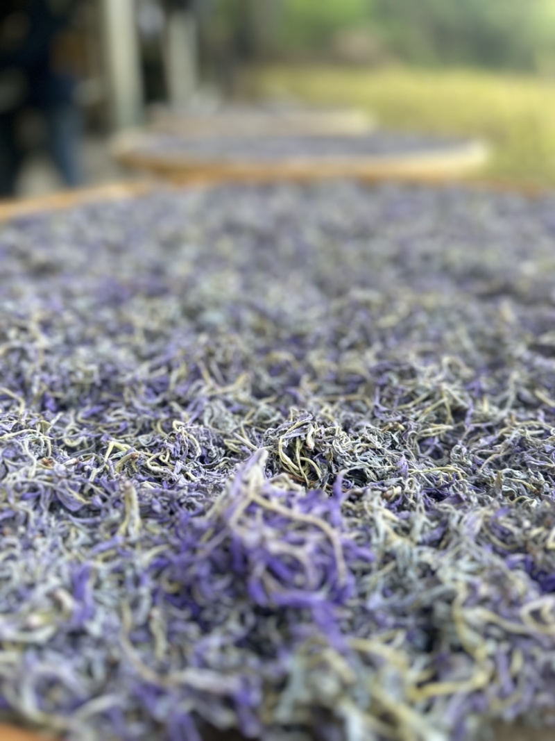 张家界莓茶/䕨茶口感醇厚清香扑鼻一手货源欢迎进店咨询下单