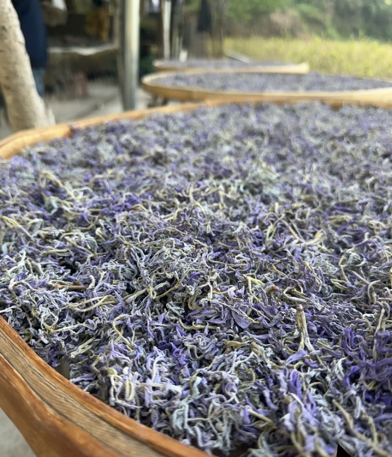 张家界莓茶/䕨茶口感醇厚清香扑鼻一手货源欢迎进店咨询下单