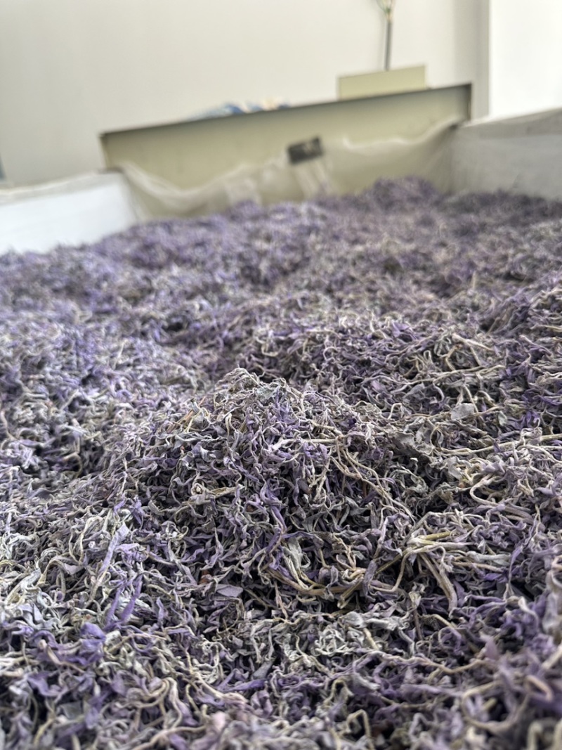 张家界莓茶/䕨茶口感醇厚清香扑鼻一手货源欢迎进店咨询下单
