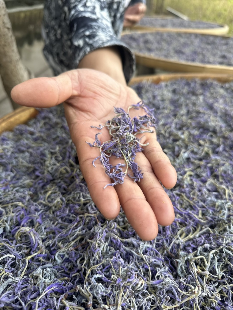 张家界莓茶/䕨茶口感醇厚清香扑鼻一手货源欢迎进店咨询下单