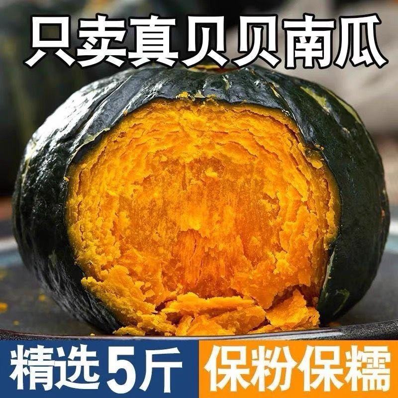 正宗贝贝南瓜板栗味小南瓜板粟3/5斤孕妇新鲜宝宝辅食正品