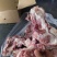 多肉腿骨前后骨带肉30