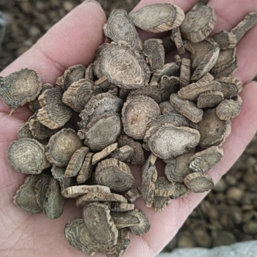 川牛膝多种规格任选1斤起批鲁赣药材批发量大优惠