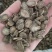 川牛膝多种规格任选1斤起批鲁赣药材批发量大优惠