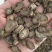 川牛膝多种规格任选1斤起批鲁赣药材批发量大优惠