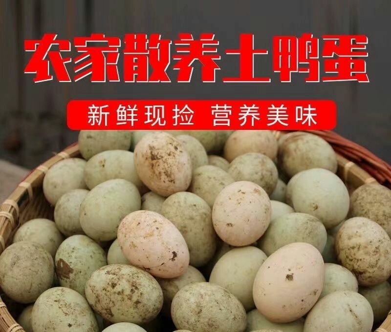 开封个体散养鸭蛋，无饲料喂养，营养丰富，一件代发