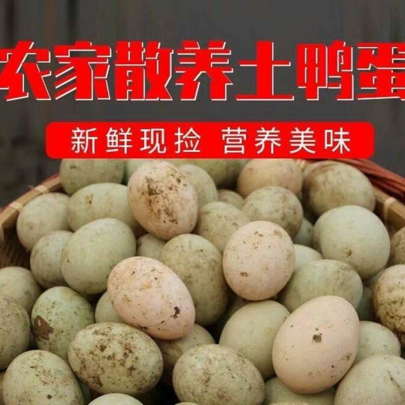 开封个体散养鸭蛋，无饲料喂养，营养丰富，一件代发