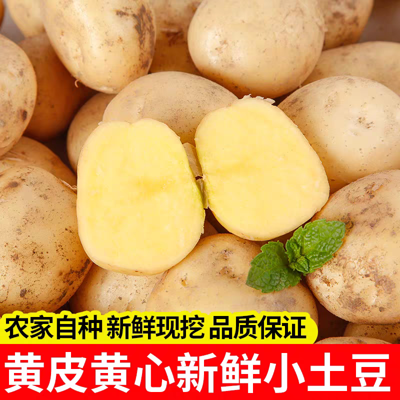 湖北小土豆马尔科高山土豆产地看货论价保质保量
