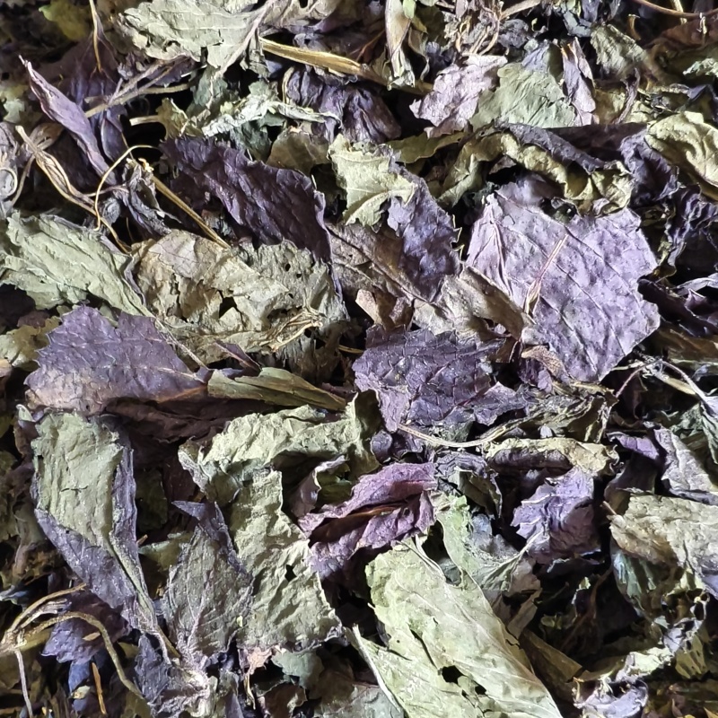 紫苏梗紫苏梗统段产地山东省新货颜色好紫轩堂药业
