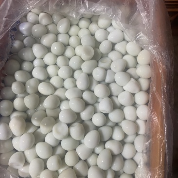 熟鹌鹑蛋