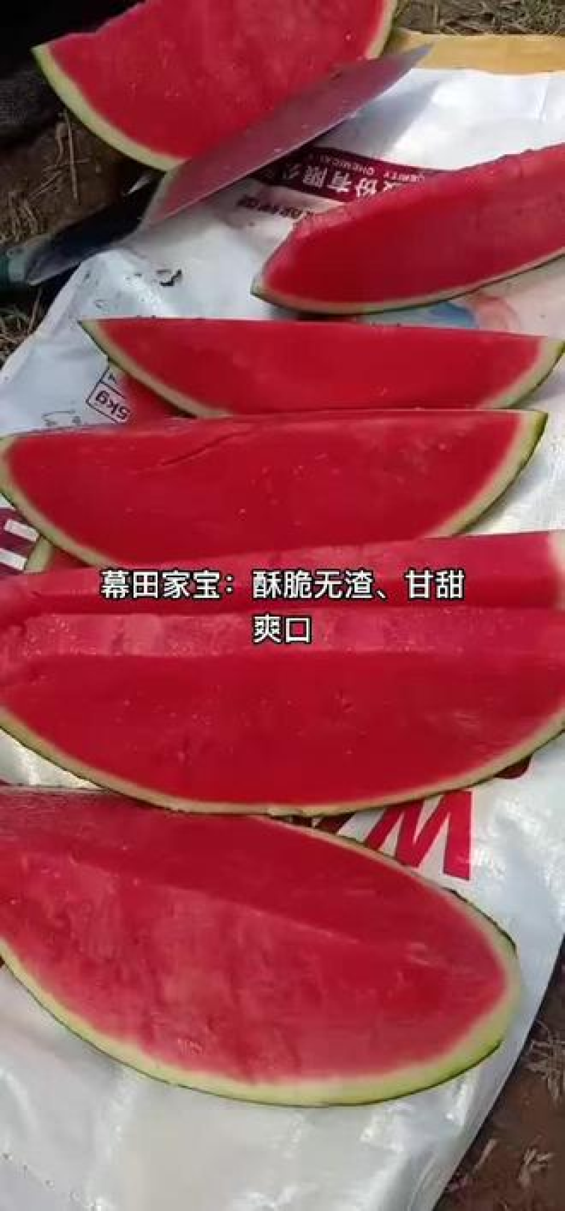 慕田家宝西瓜无籽西瓜全国发货可视频看货包熟包甜