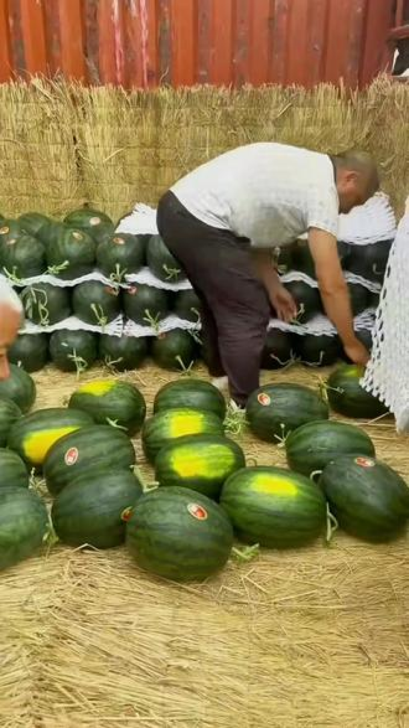 慕田家宝西瓜无籽西瓜全国发货可视频看货包熟包甜
