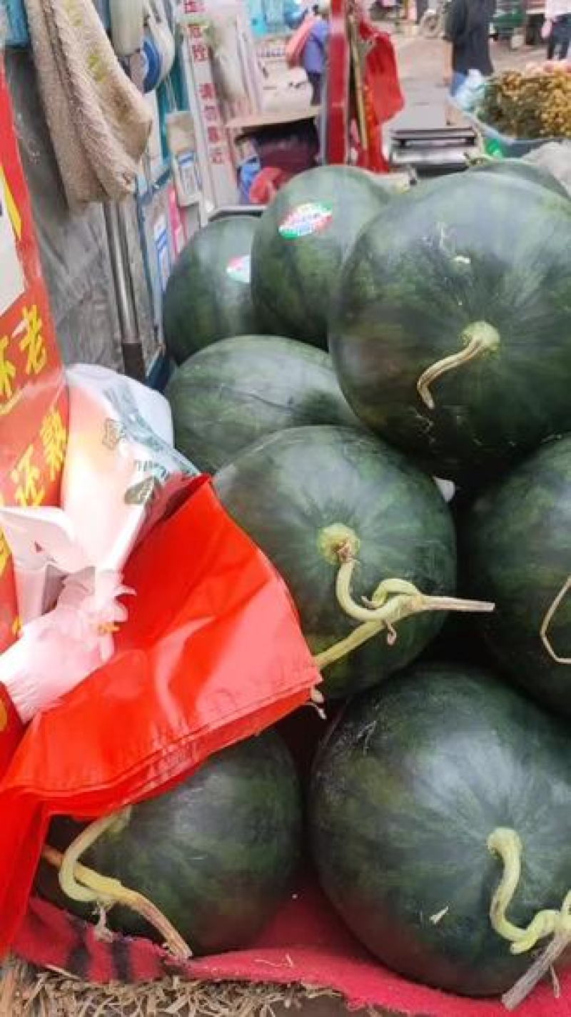 慕田家宝西瓜无籽西瓜全国发货可视频看货包熟包甜