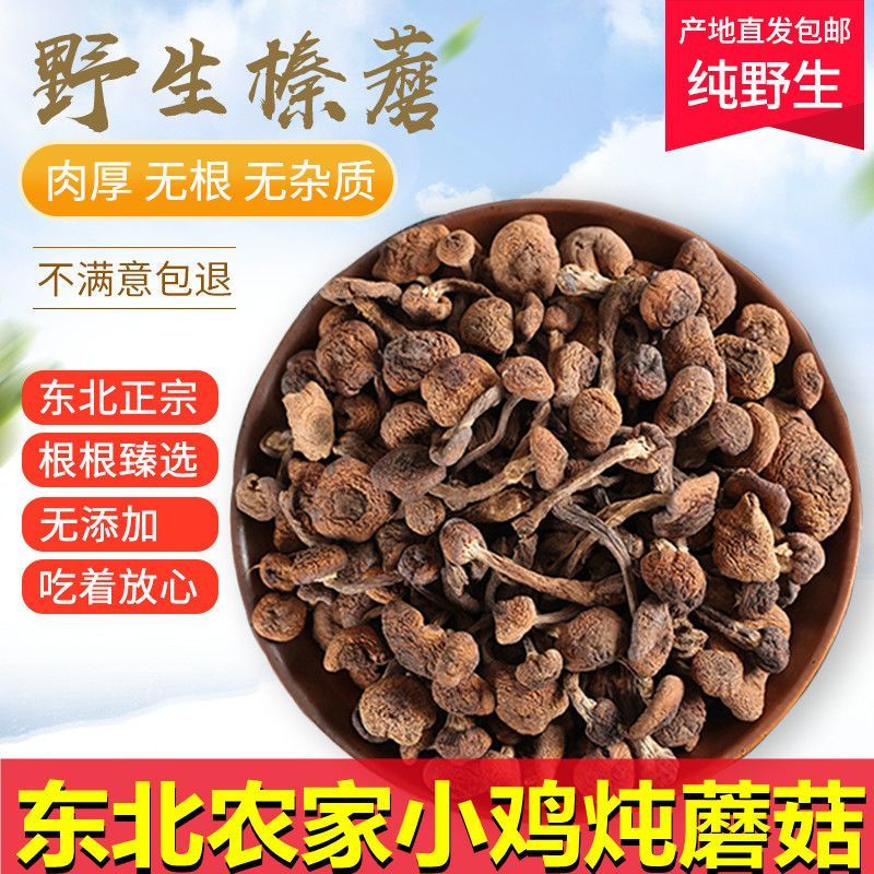 臻蘑